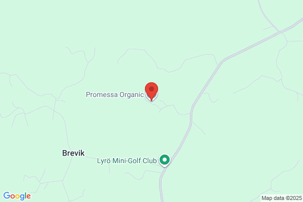 Promessa Organic AB