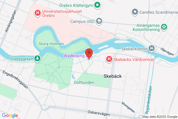 Skidåke