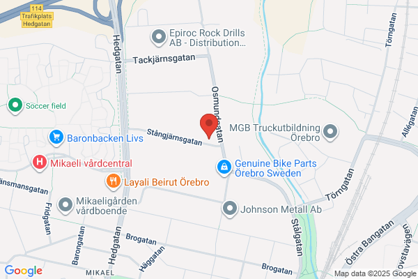 Servicestyrkan i Sverige AB