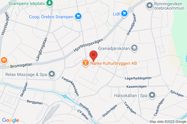 Socialpsykiatrin (Psykiatri)