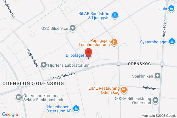 Bilbolaget Fordon