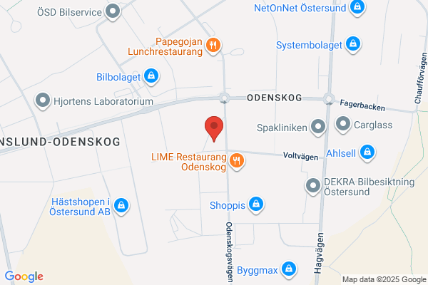 Instrumentverkstad AB, Wedins