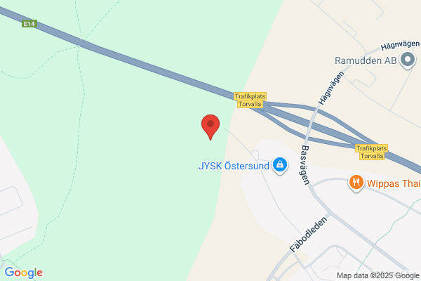 H P:s Hälsokost