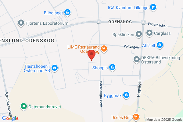 Hundsalongen i Östersund