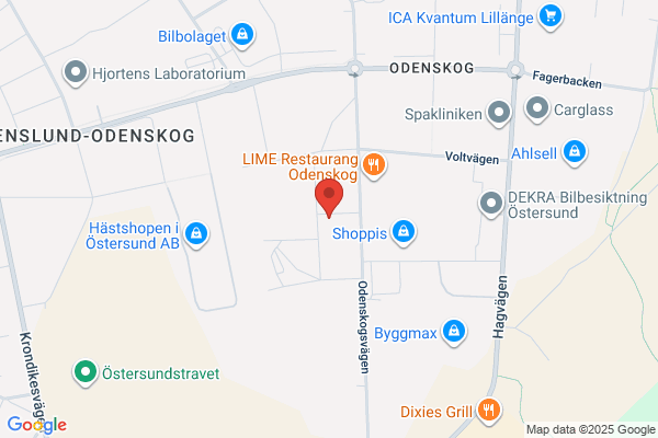 K M Pavo Måleri, AB