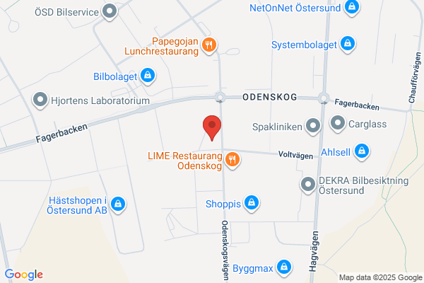 Bussgods Jämtland-Härjedalen