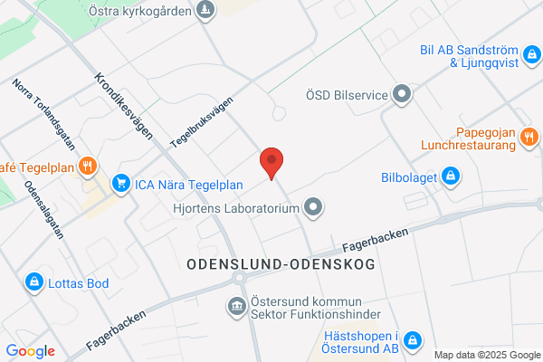 L.K. Hundkonsult