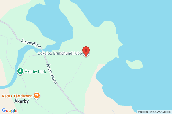 Ockelbokyckling