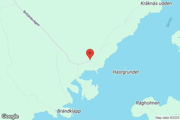 Gustavsson Företagsredovisning AB, Lars