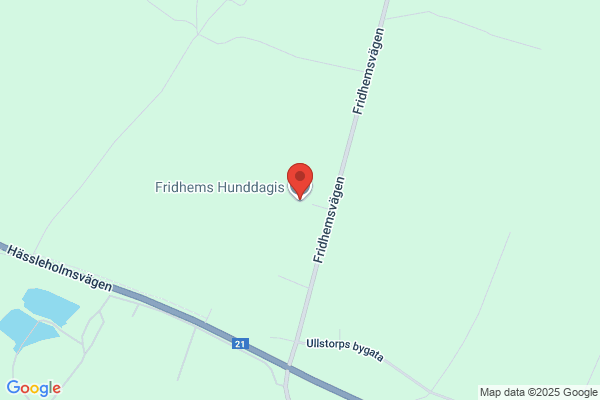Fridhems Hunddagis