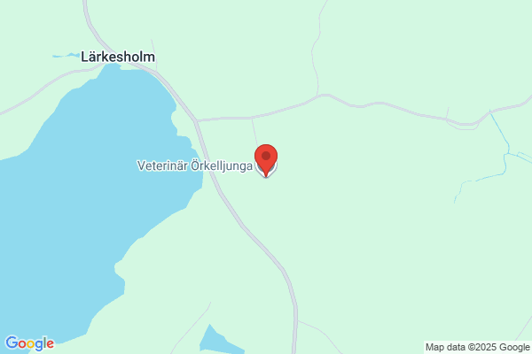 Synvårdspraktiken i Örkelljunga AB