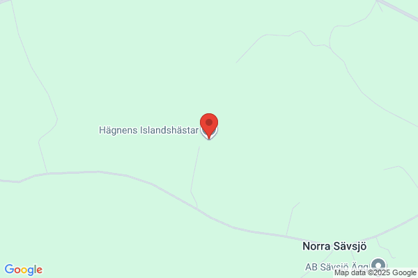 Hägnens Islandshästar
