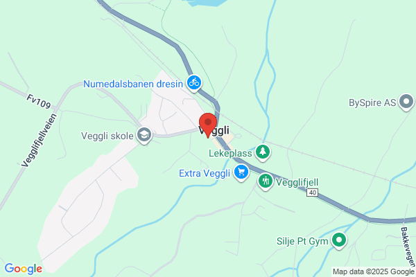 Järvinens Måleri, Kari
