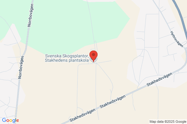 Svenska Skogsplantor AB