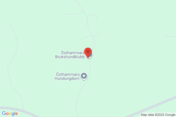Mattsson Dam/barnkläder HB, I