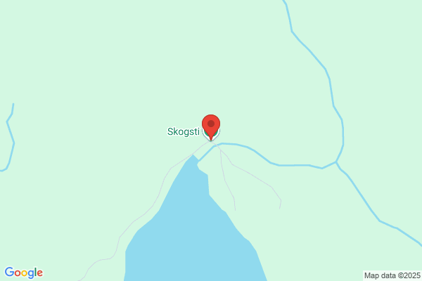 Skogstjänst