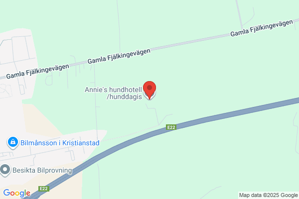 Annies Kattpensionat