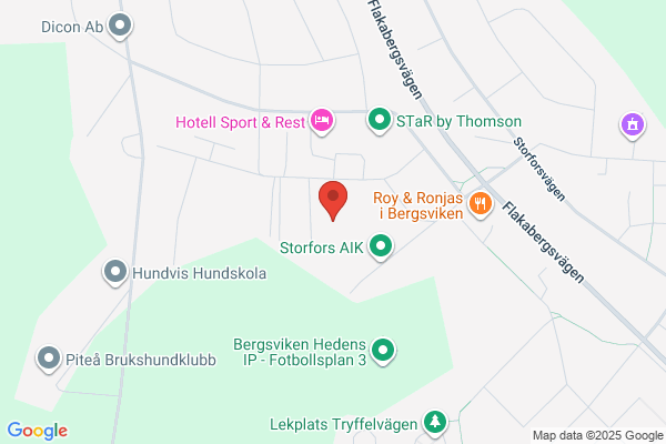 Bergsviksskolan