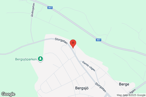Barzengiy Grill och Pizzeria