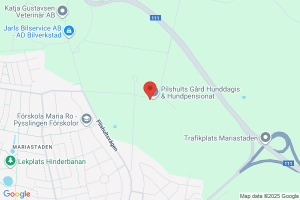 Helsingborgs Hunddagis