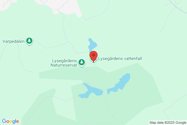 Ale Murningstjänst