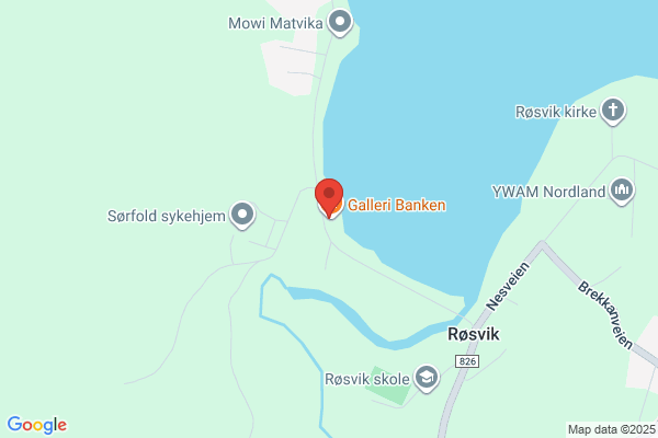 Arnes Galleri & Ateljé i Rosvik