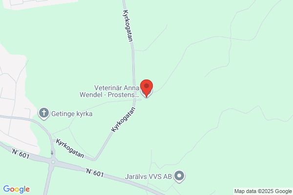 Wendels Veterinärpraktik