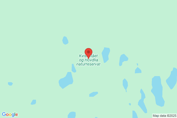 Lövdalens Åkeri AB