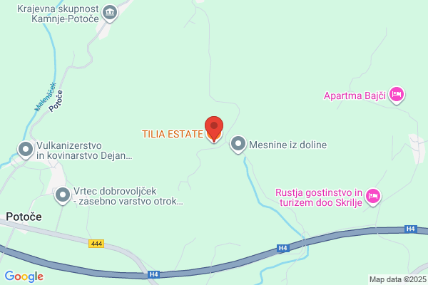 Tilia