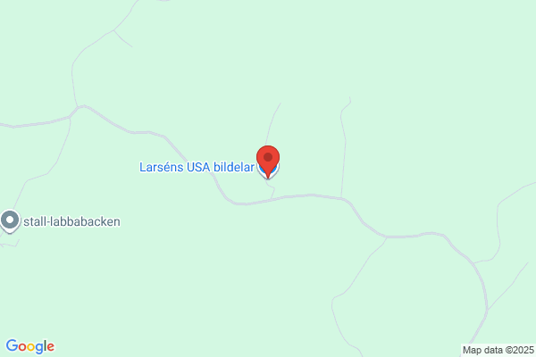 Larsens USA-Bildelar
