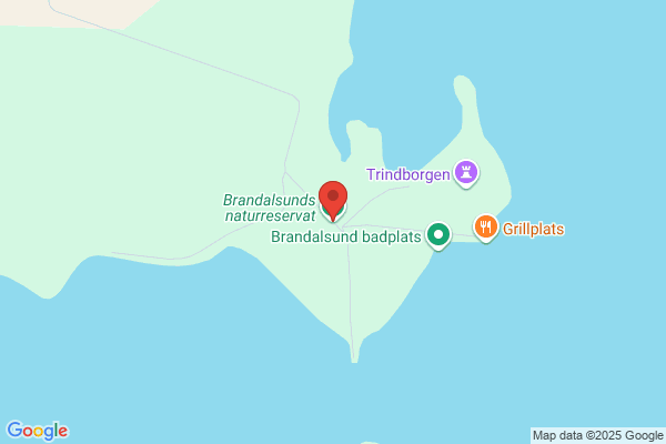 Tibblin, Gabriella