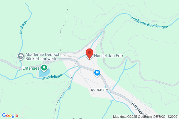 Ekström, Firma Jan