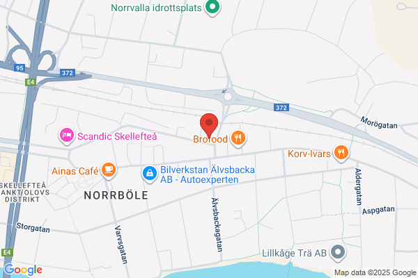 Biboköp