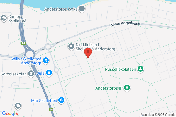 Dentalinst i Sverige AB