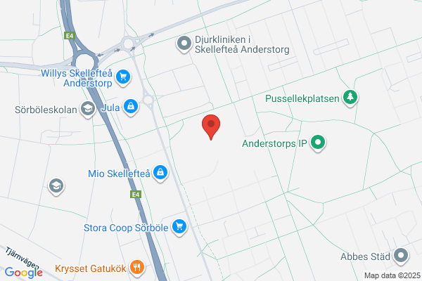 Anderstorpsskolan (Gymnasieskolor)