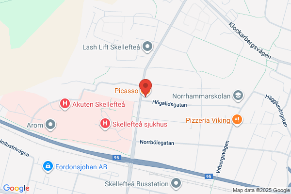 Pizzeria Picasso