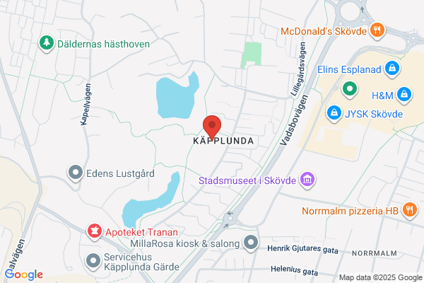 Käpplundaskolan