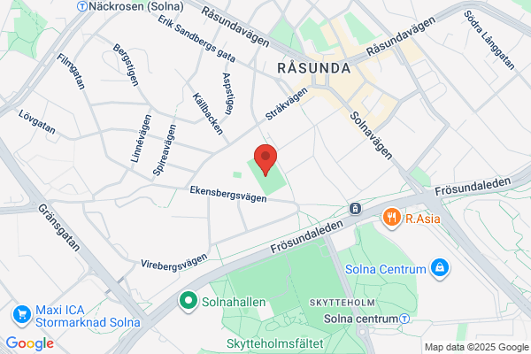 Råsunda Idrottssällskap