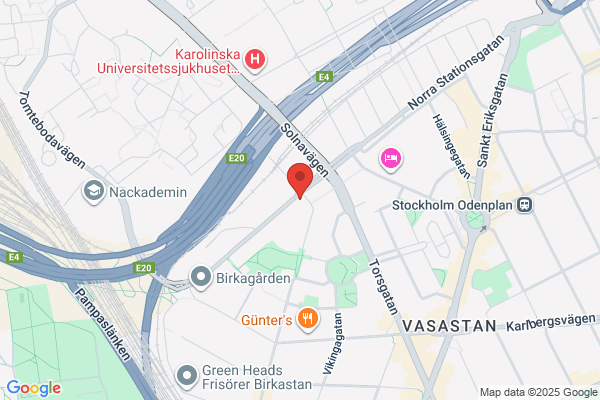 Swedish Orphan Biovitrum (Sobi)