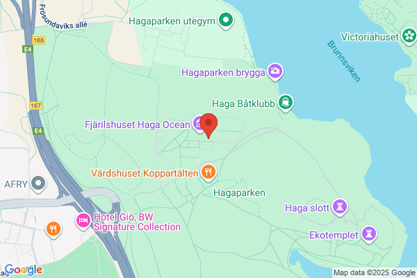 Fjärilshuset Regnskog