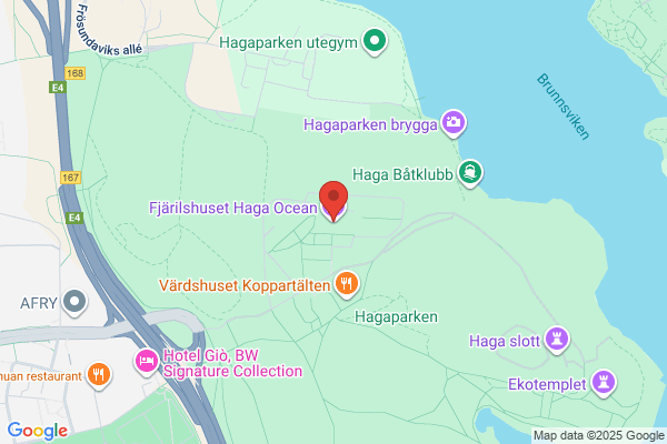 Fjärilshuset