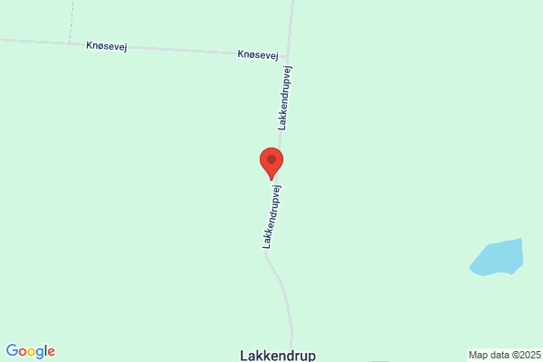 Bäckström Åkeri AB, Roland