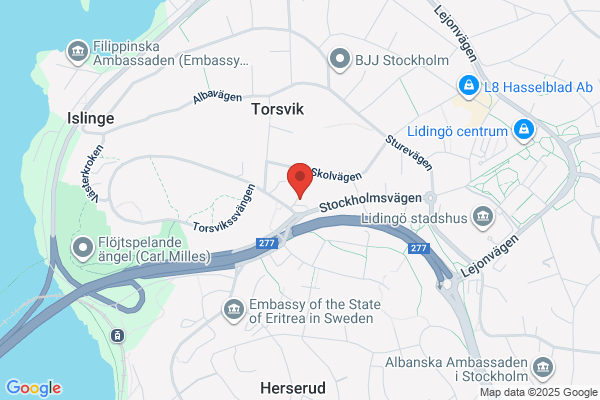 Torsviks Bilservice