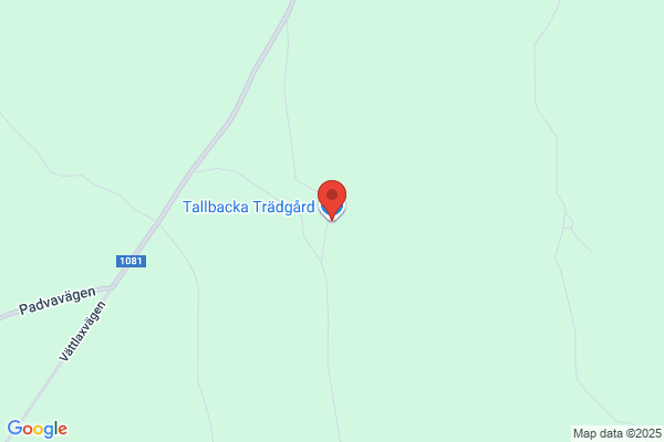 Tallbacka Utveckling