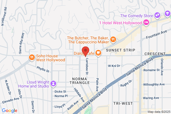 The Viper Room