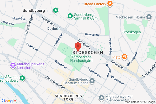 Borg Snickeri