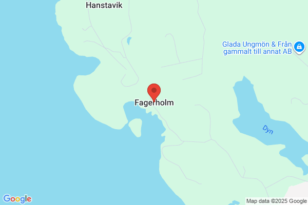 Fagerholm & Jansson AB