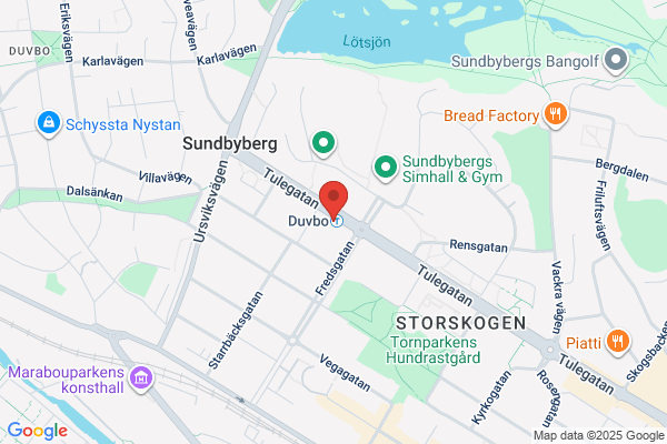 Svensk Artist i Stockholm