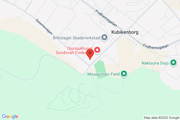 Bilfocus i Sundsvall AB, SUBARU