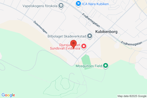 Bil & Maskinservice i Sundsvall AB